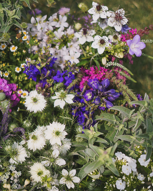 Seasonal Stem Bucket / Box