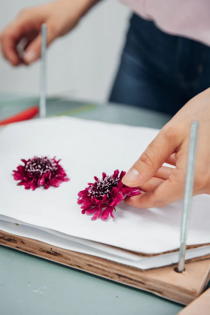 JUNE: Flower Pressing workshop 20/06