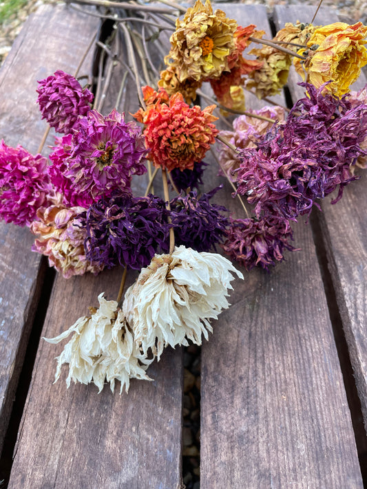 Dahlias by the stem