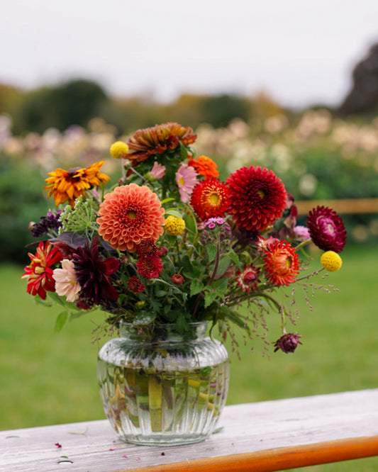 Posy Seasonal Bouquet