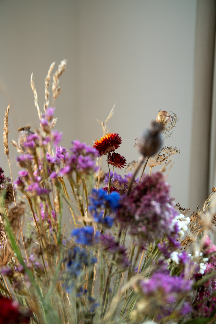 Everlasting Dried Flowers - Bouquet