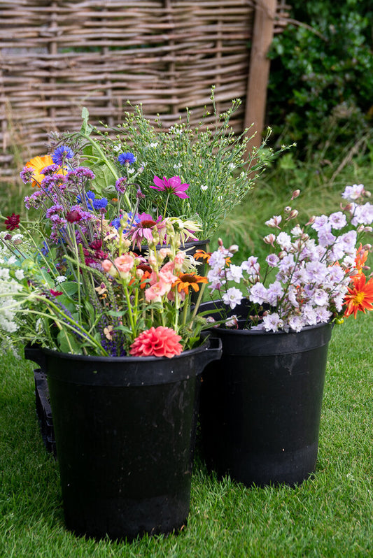 Seasonal Stem Bucket / Box