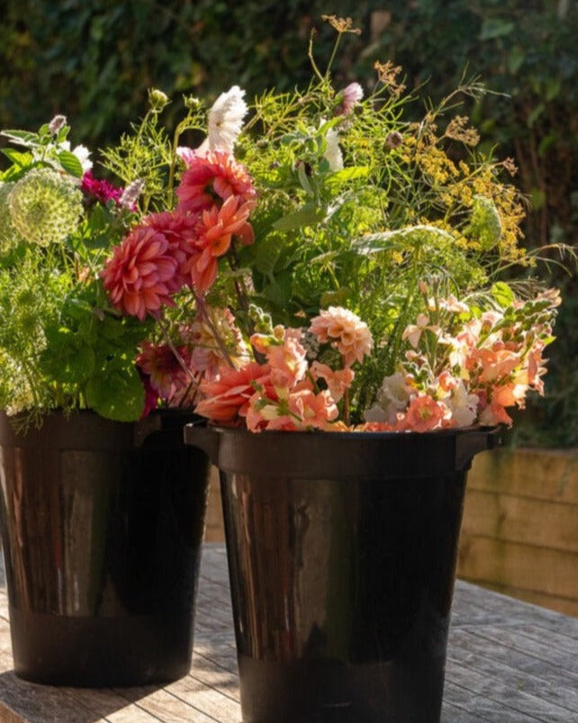 Seasonal Stem Bucket / Box
