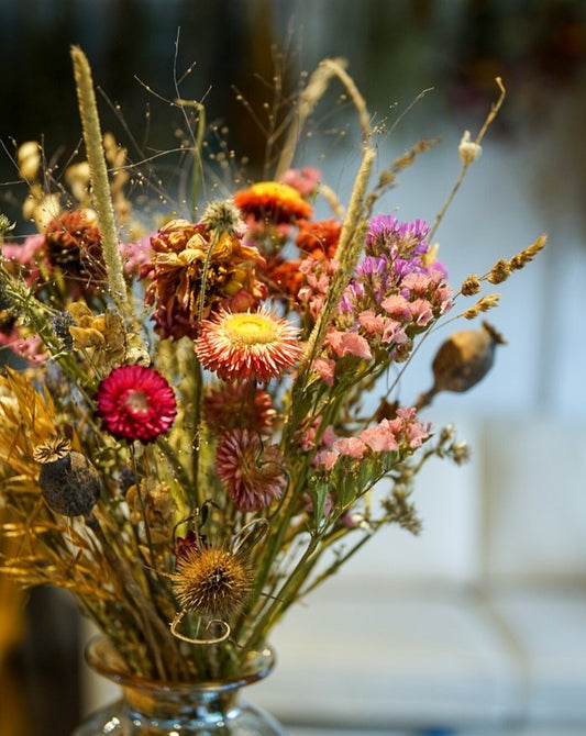Everlasting Dried Flowers - Bouquet