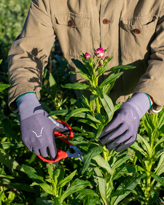 Niwaki Gardening Gloves