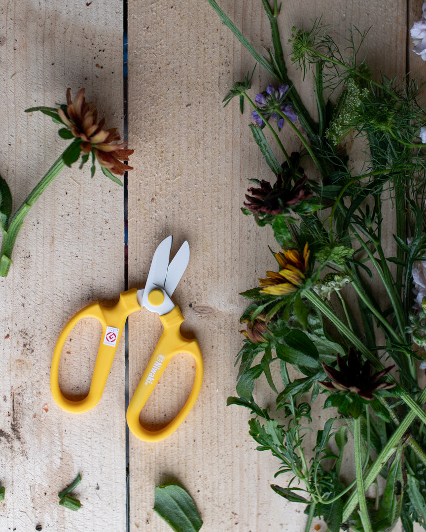 Niwaki Sakagen Flower Scissors