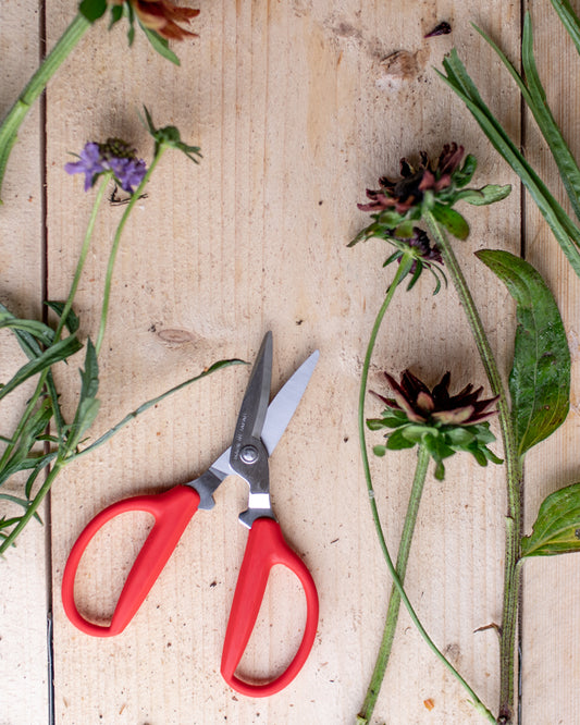 Niwaki Utility Scissors