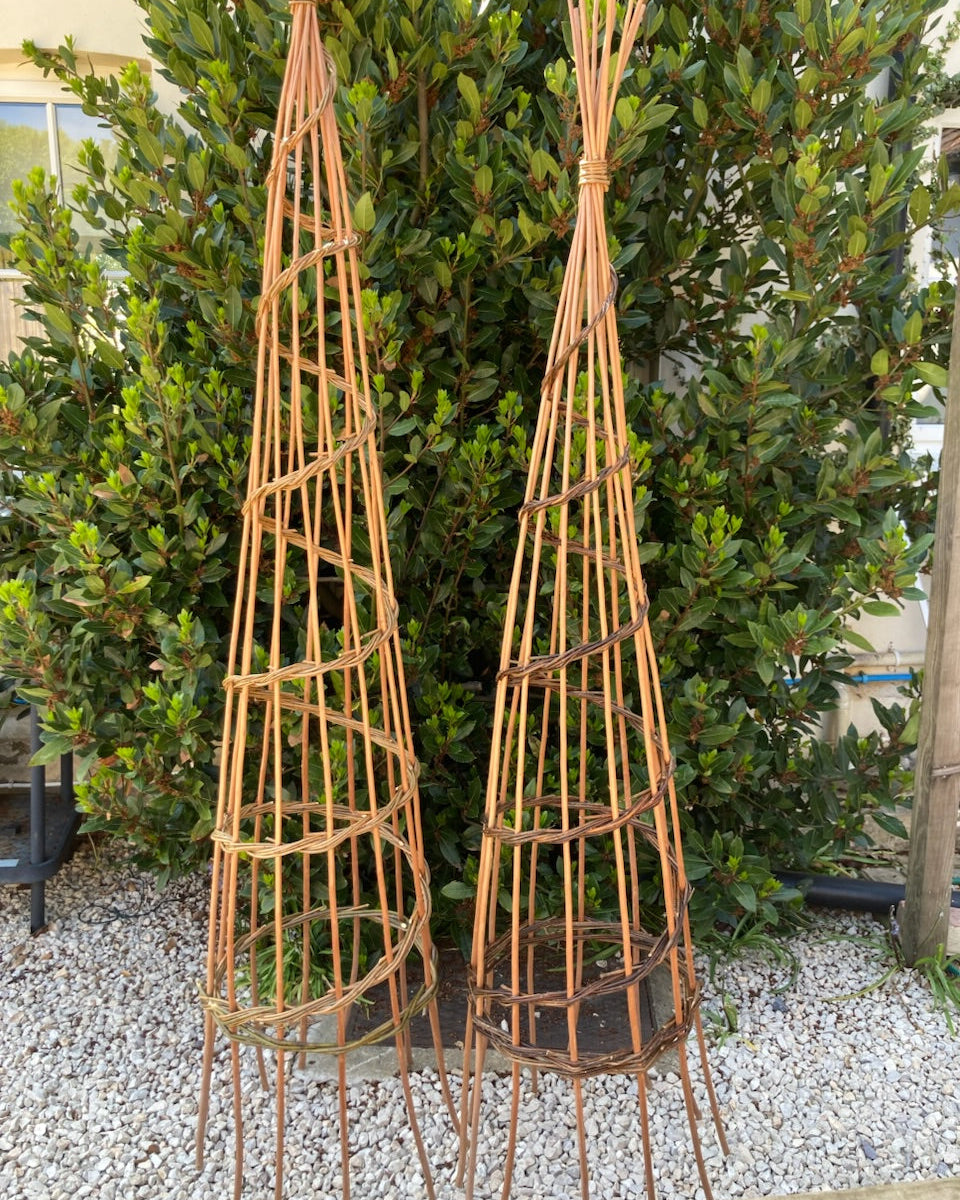 JUNE: Willow Plant Support Workshop 27/06
