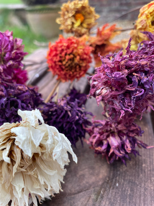 Dahlias by the stem
