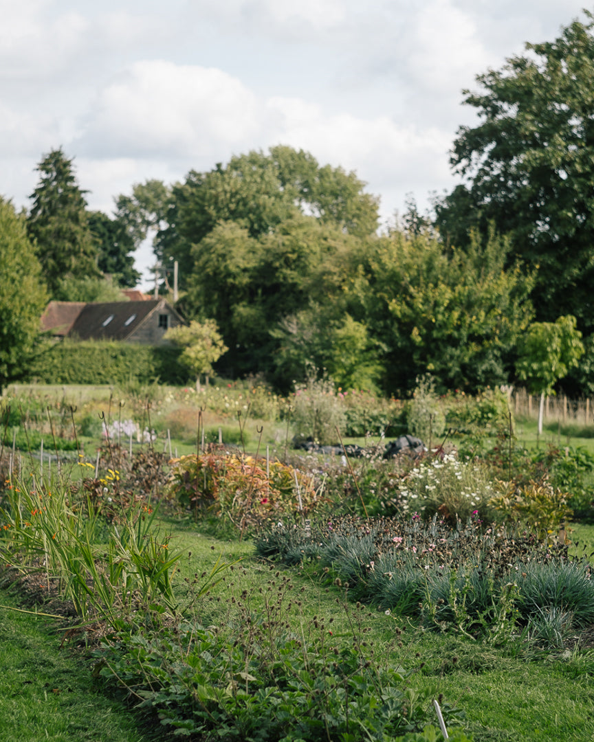 SEPTEMBER: Floral Photography workshop 15/09