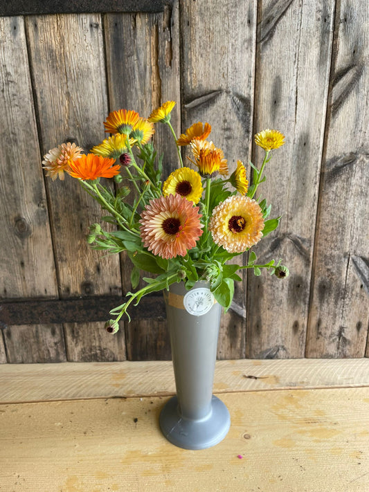 Calendula - mixed