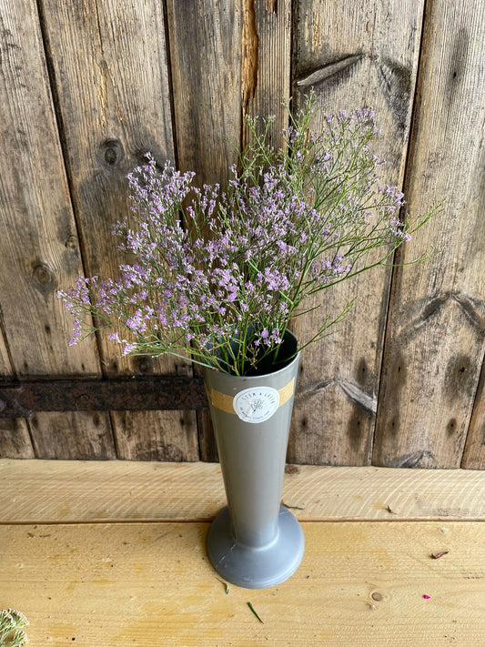 Limonium