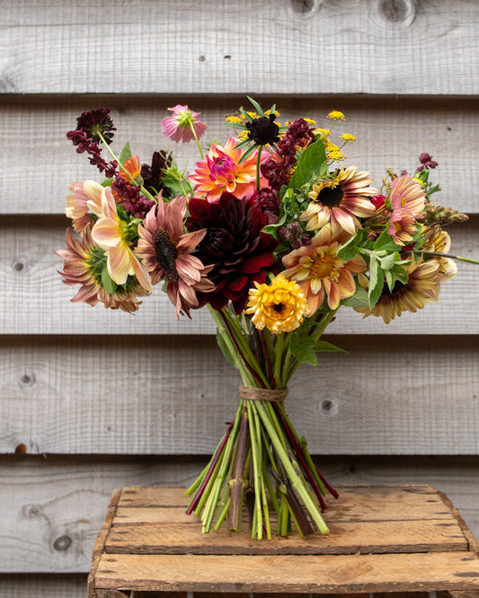 Posy Seasonal Bouquet