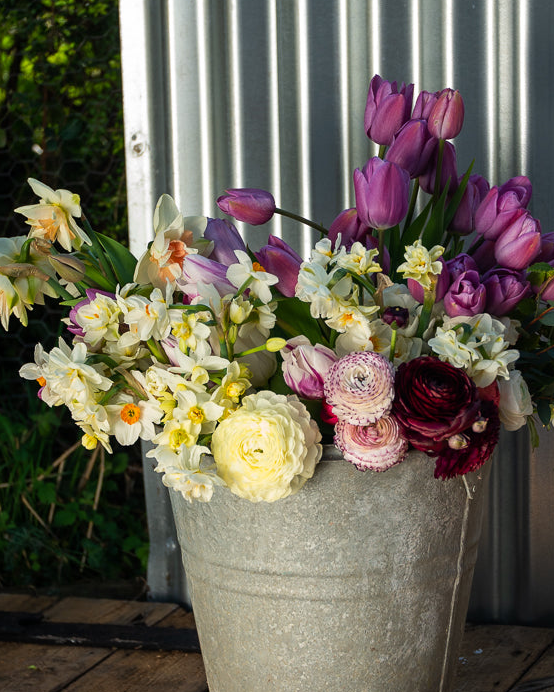 Seasonal Stem Bucket / Box