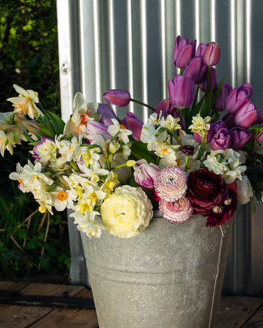 Seasonal Stem Bucket / Box