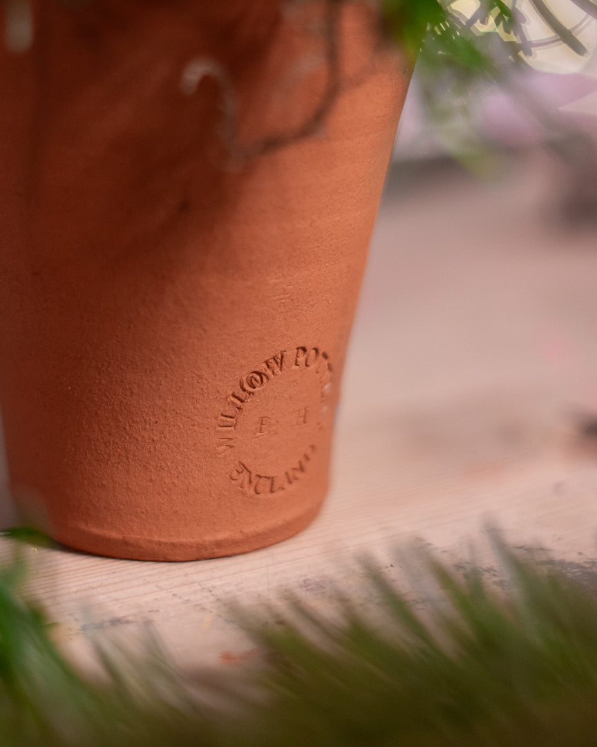 Christmas Pot Table Centre
