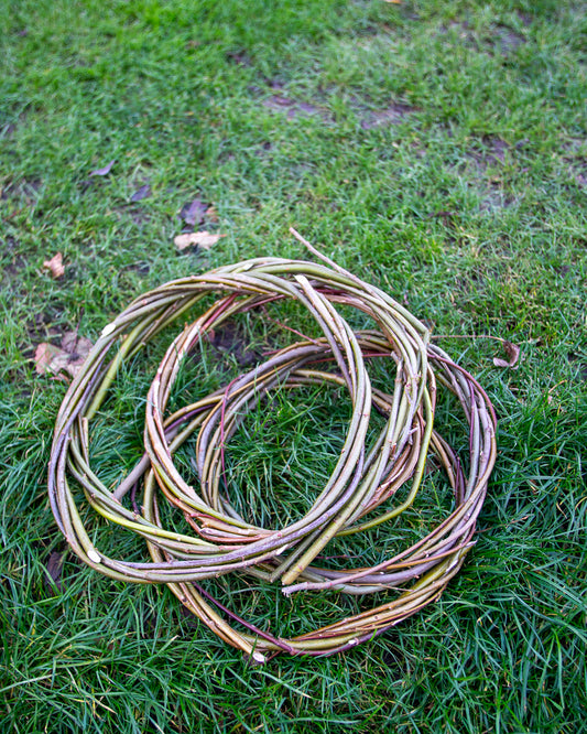 Willow Wreath base