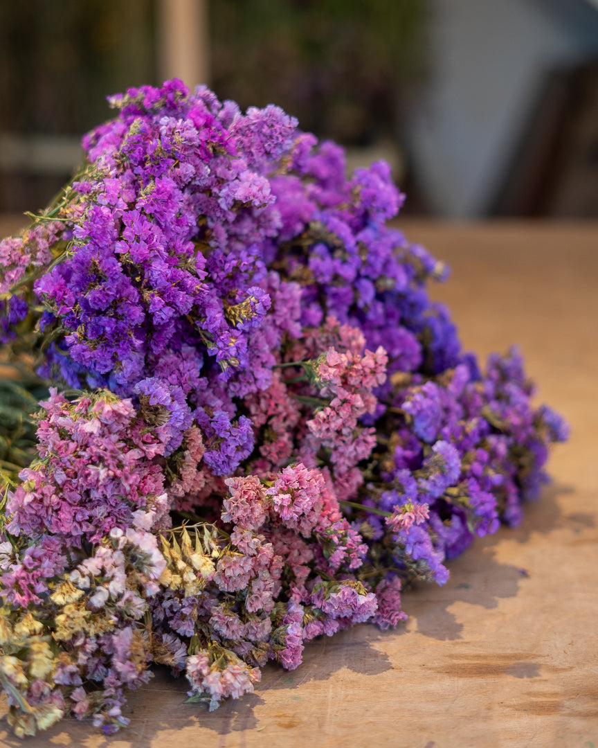 Statice Dried Statice bunch – Stem and Green Flower Farm Ltd