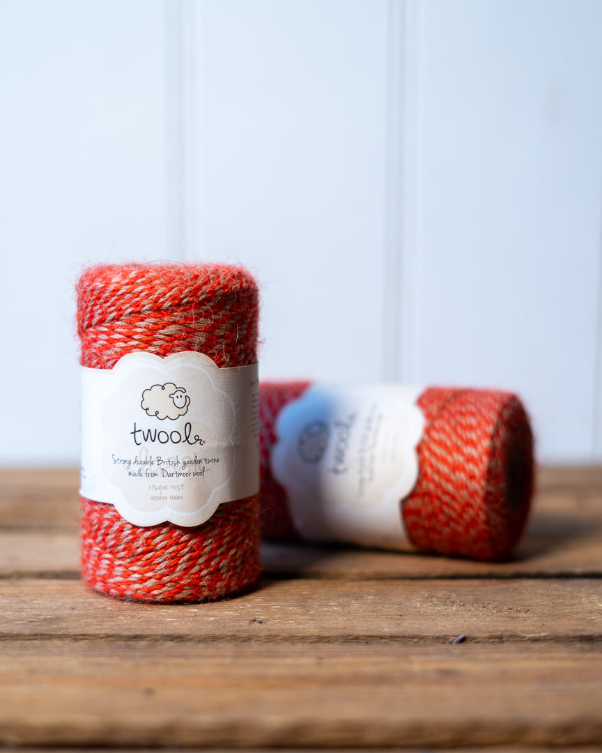 Twool - sustainable wool twine STRIPED