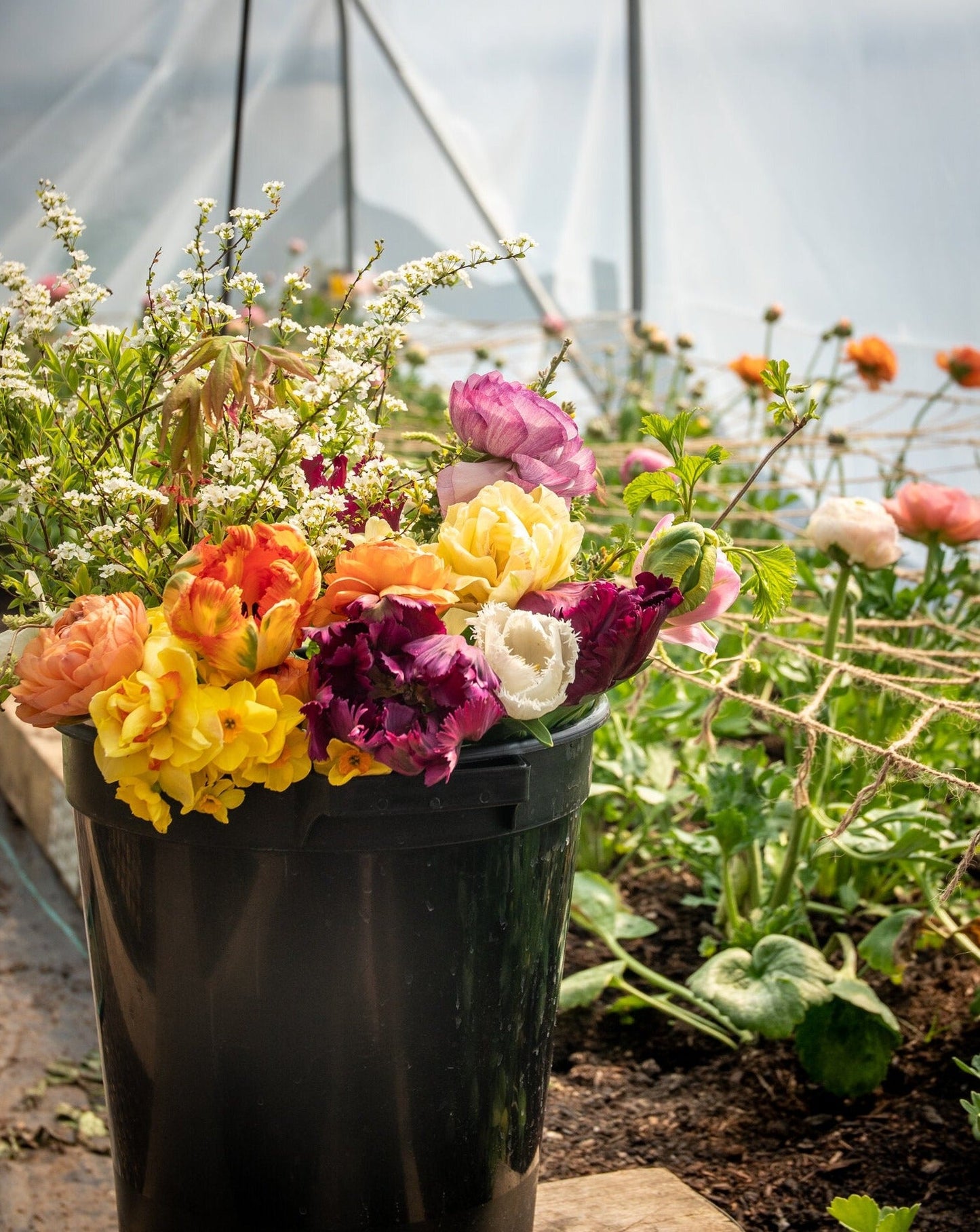 Seasonal Stem Bucket / Box