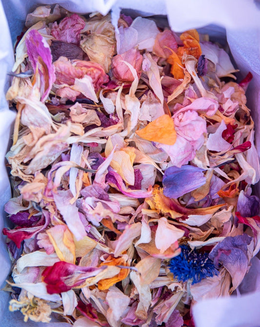 Natural Petal Confetti