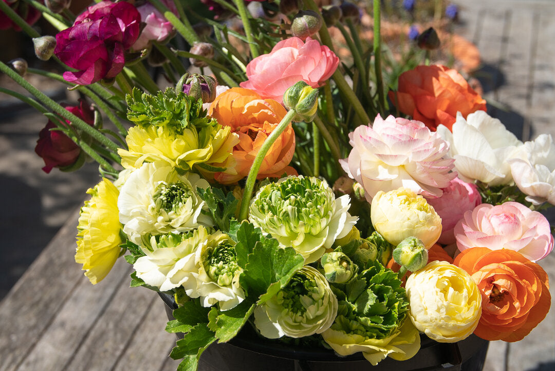 Seasonal Stem Bucket / Box
