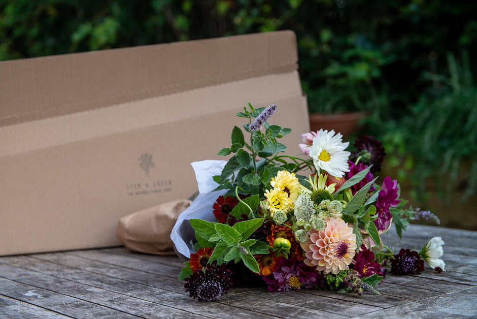 Stem and Green Flower Farm Stem and Green Flower Farm Ltd