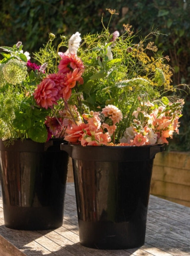 Seasonal Stem Bucket / Box