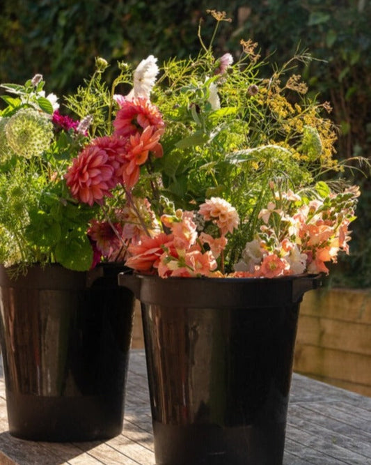 Seasonal Stem Bucket / Box