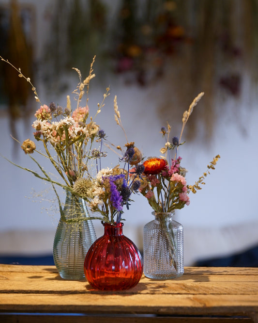 Everlasting Dried Flower -  Bud vase