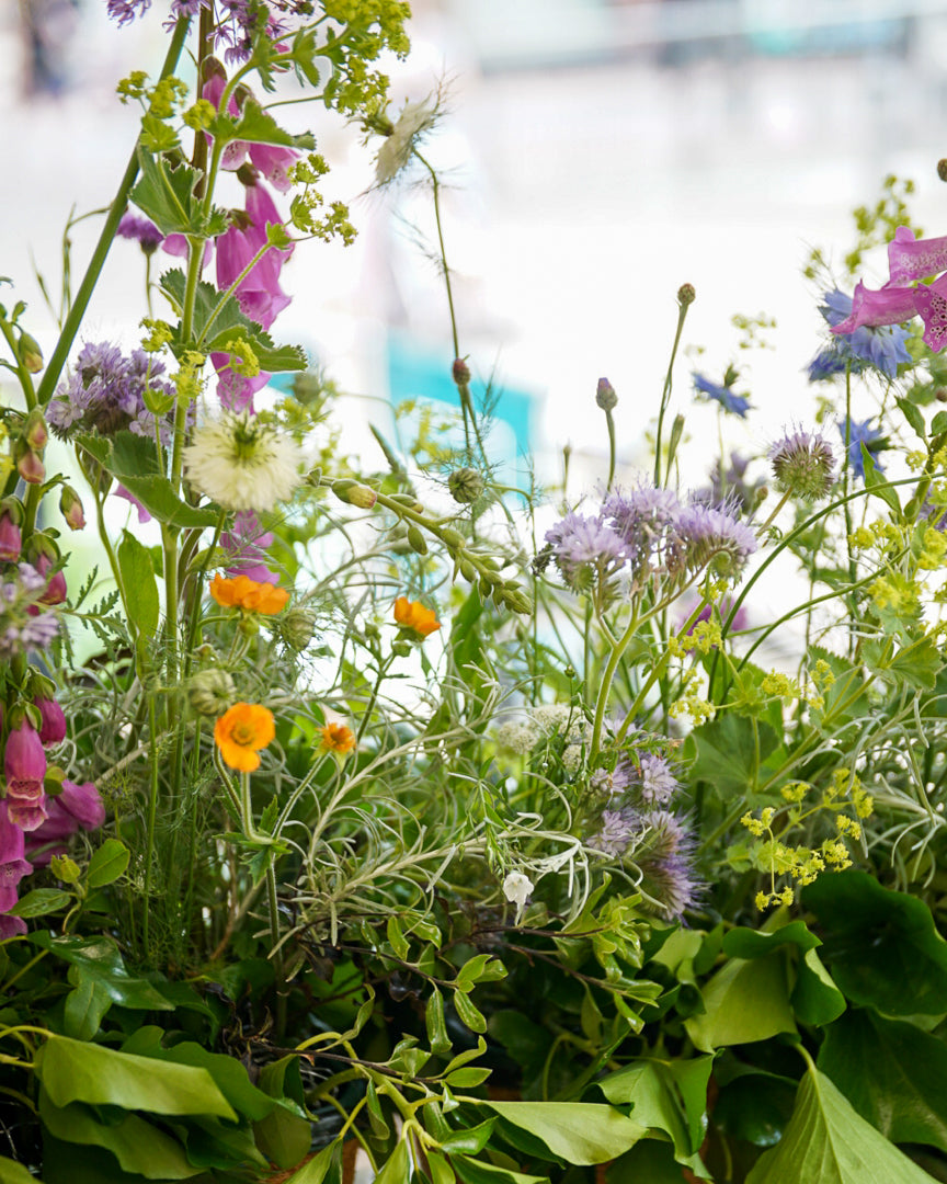 JUNE: Floral Meadowbox workshop 7/06