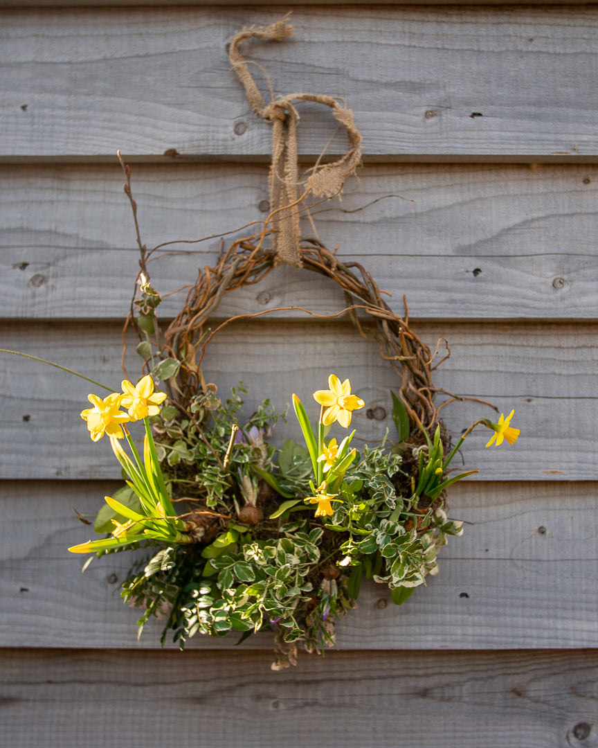 MARCH: Brunch Spring bulb Wreath workshop 23/03